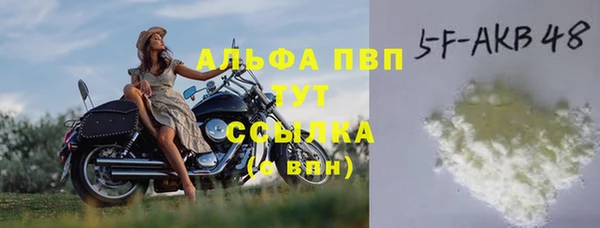 хмурый Аркадак