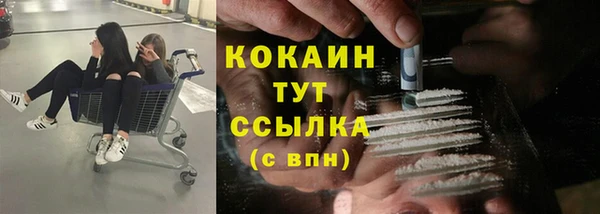 хмурый Аркадак