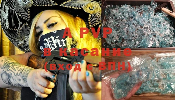 apvp Галич