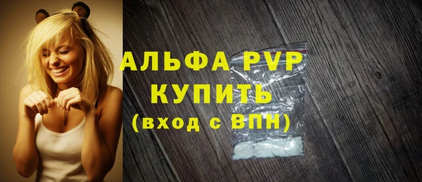 хмурый Аркадак