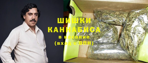 хмурый Аркадак