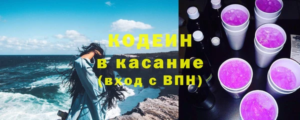 хмурый Аркадак